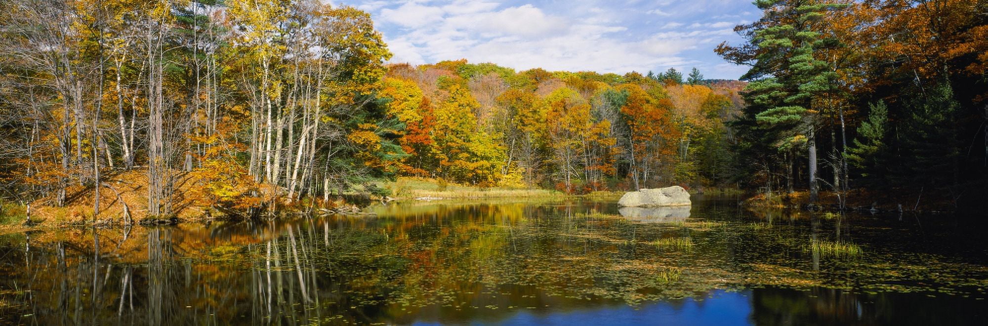 Trees at lakeside in autumn Hancock Monadnock Region New Hampshire USA Canvas Art - Panoramic Images (6 x 18)