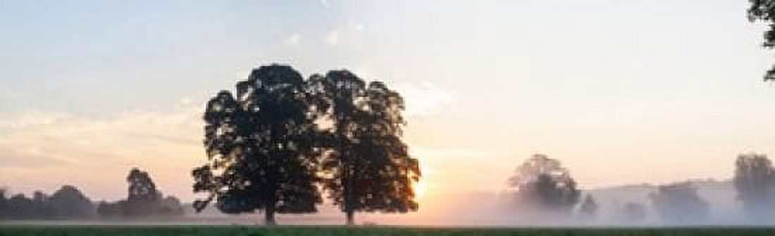 Trees at sunrise USK Valley South Wales Wales Canvas Art - Panoramic Images (38 x 12)
