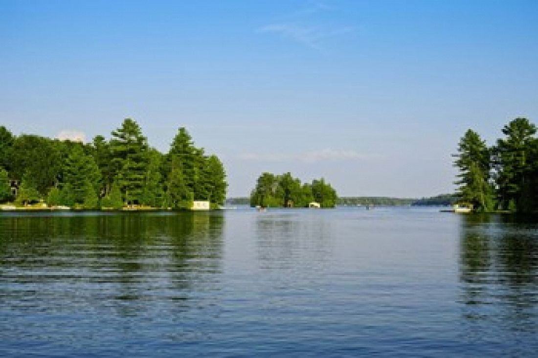 Trees at the Lakeside Lake Muskoka Ontario Canada Canvas Art - Panoramic Images (36 x 24)