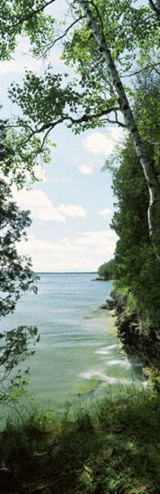 Trees at the lakeside Cave Point County Park Lake Michigan Door County Wisconsin USA Canvas Art - Panoramic Images (18 x 6)