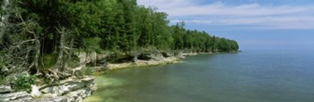 Trees at the lakeside Cave Point County Park Lake Michigan Door County Wisconsin USA Canvas Art - Panoramic Images (36 x 12)