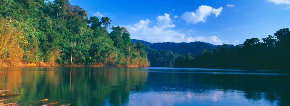 Trees at the lakeside Chiaw Lan Lake Kao Sok National Park Surat Thani Province Thailand Canvas Art - Panoramic Images (27 x 9)