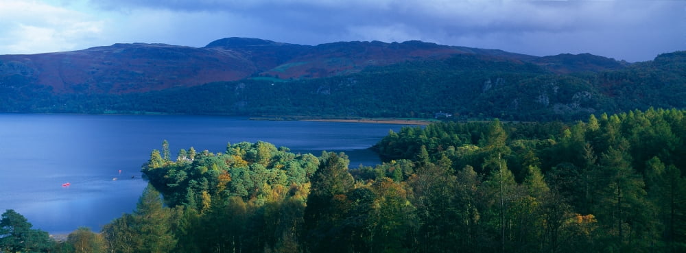 Trees at the lakeside Derwentwater Lake District Lake District National Park England Canvas Art - Panoramic Images (36 x 12)