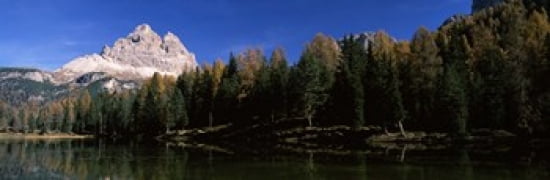 Trees at the lakeside Lake Misurina Tre Cime Di Lavaredo Dolomites Cadore Province of Belluno Veneto Italy Canvas Art - Panoramic Images (36 x 12)