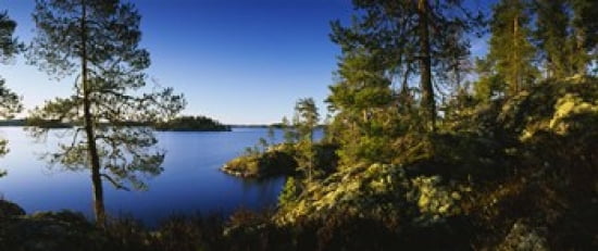 Trees at the lakeside Lake Saimaa Puumala Finland Canvas Art - Panoramic Images (30 x 13)