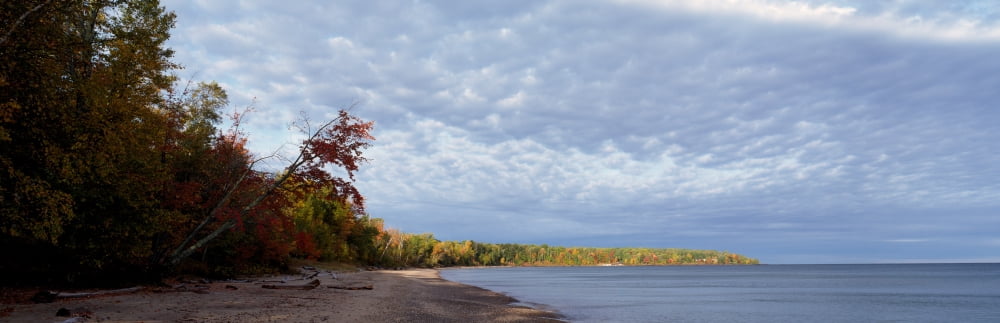 Trees at the lakeside Lake Superior Upper Peninsula Michigan USA Canvas Art - Panoramic Images (12 x 36)