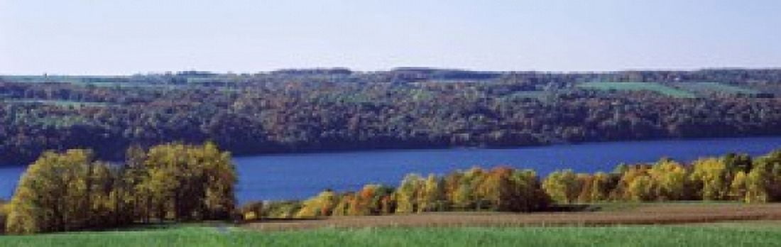 Trees at the lakeside Owasco Lake Finger Lakes New York State USA Canvas Art - Panoramic Images (18 x 6)