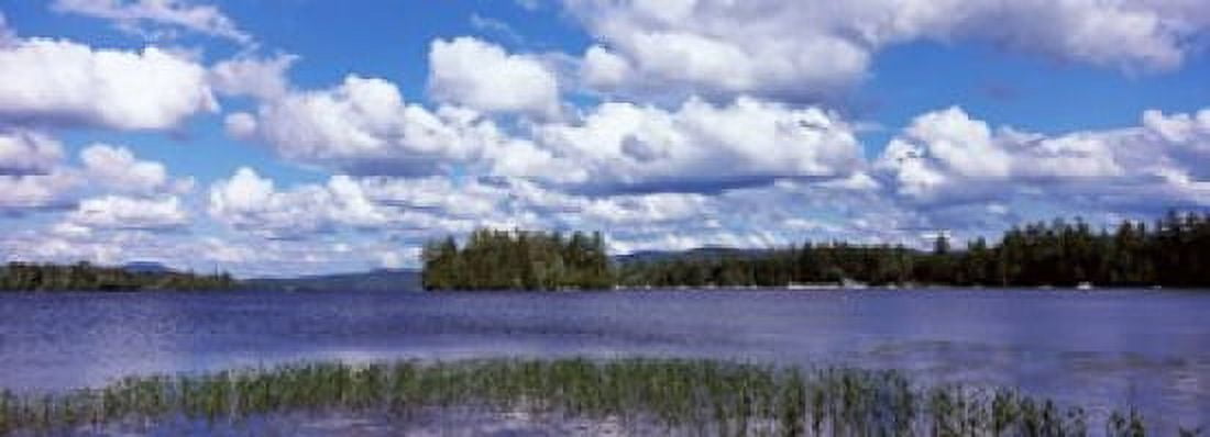 Trees at the lakeside Raquette Lake Adirondack Mountains New York State USA Canvas Art - Panoramic Images (36 x 13)
