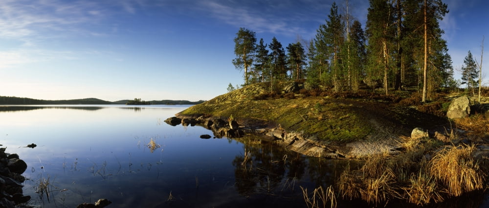 Trees at the lakeside Saimaa Puumala Southern Savonia Eastern Finland Finland Canvas Art - Panoramic Images (29 x 12)
