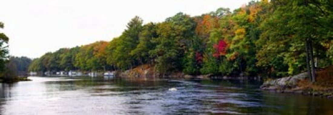 Trees at the riverside Musquash River Muskoka Ontario Canada Canvas Art - Panoramic Images (18 x 7)