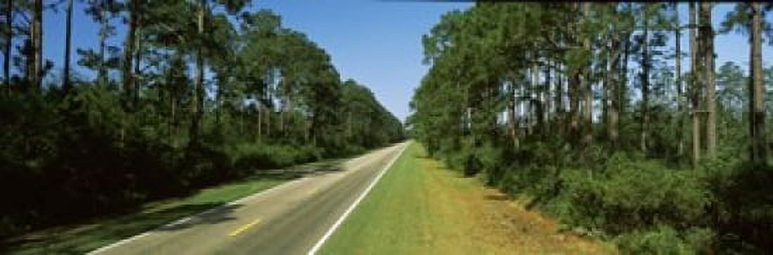 Trees both sides of a road Route 98 Apalachicola Panhandle Florida USA Canvas Art - Panoramic Images (18 x 6)