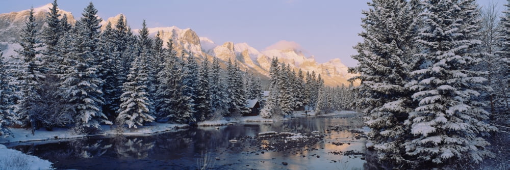 Trees covered with snow Policemans Creek Canmore Alberta Canada Canvas Art - Panoramic Images (36 x 12)