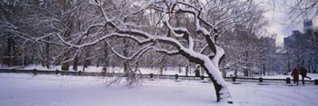 Trees covered with snow in a park Central Park New York City New York state USA Canvas Art - Panoramic Images (18 x 6)