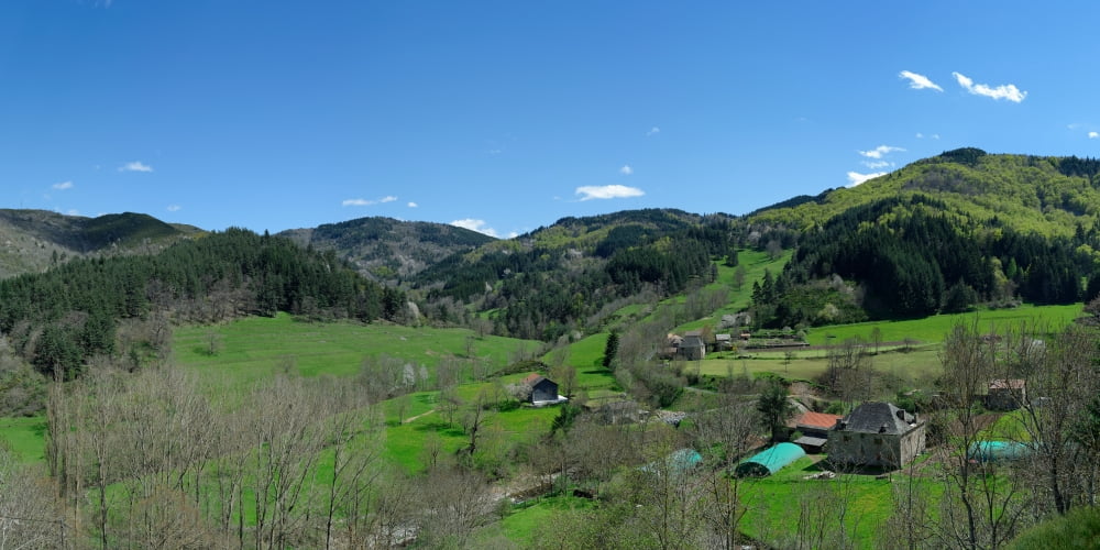 Trees in a field with mountain range in the background Col De Joux Plane Saint-Martial Ardeche Rhone-Alpes Massif Central France Canvas Art - Panoramic Images (12 x 24)