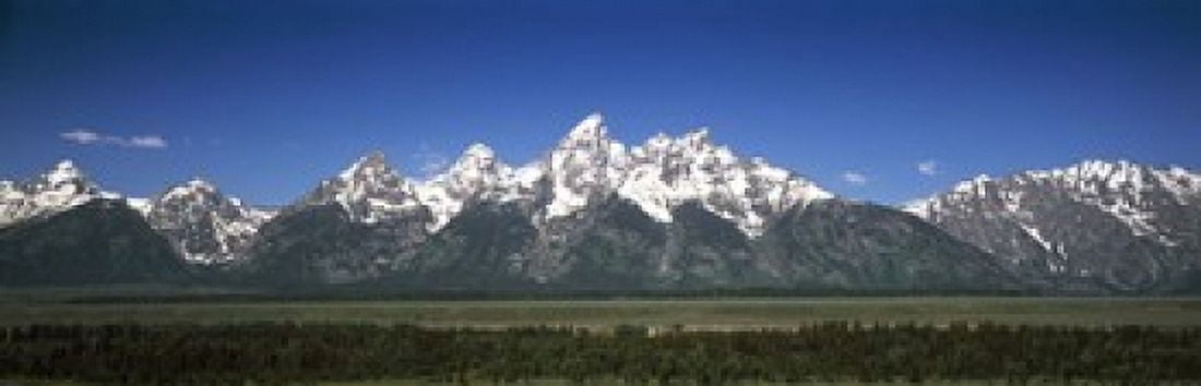 Trees in a forest with mountains in the background Teton Point Turnout Teton Range Grand Teton National Park Wyoming USA Canvas Art - Panoramic Images (18 x 6)