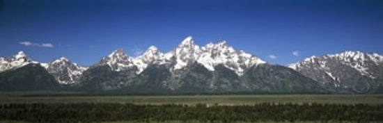 Trees in a forest with mountains in the background Teton Point Turnout Teton Range Grand Teton National Park Wyoming USA Canvas Art - Panoramic Images (36 x 12)