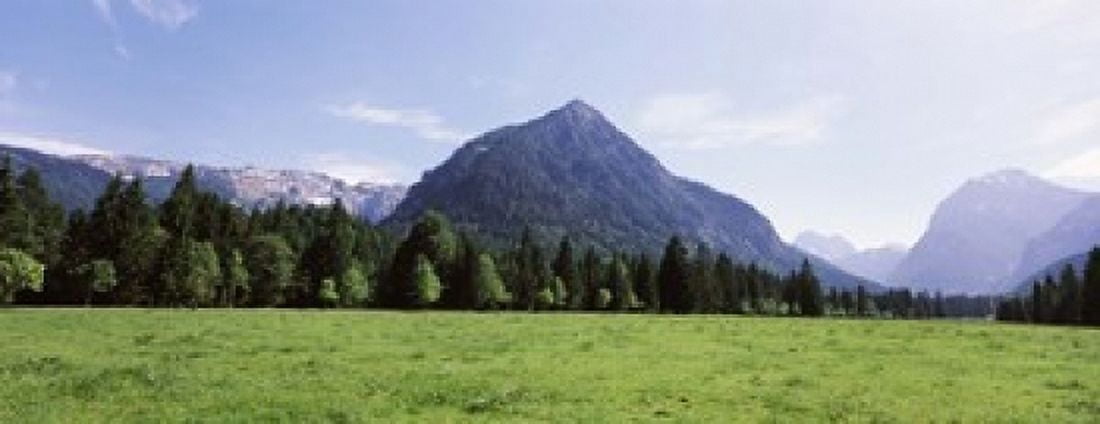 Trees on a hill with mountain range in the background Karwendel Mountains Risstal Valley Hinterriss Tyrol Austria Canvas Art - Panoramic Images (15 x 6)