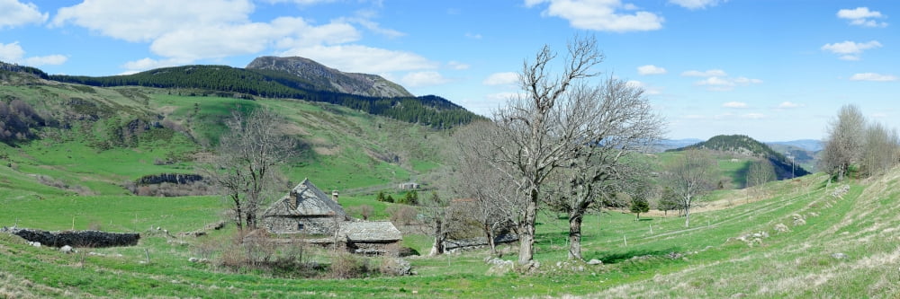 Trees on hill with mountain range in the background Mont Mezenc Boree Ardeche Rhone-Alpes Massif Central France Canvas Art - Panoramic Images (12 x 36)