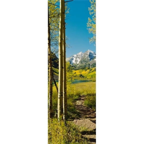 Trees in A Forest Maroon Bells Colorado USA Poster Print - Maroon - 27 x 9