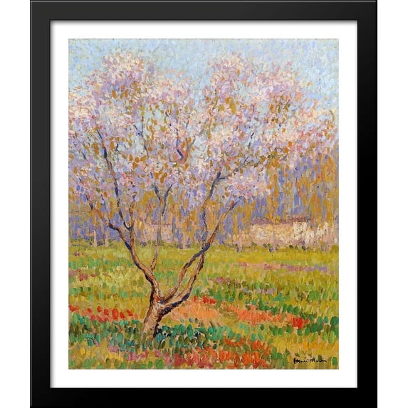 Trees in Bloom 28x34 Large Black Wood Framed Print Art by Henri Martin