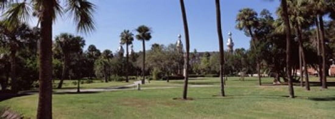 Trees in a campus Plant Park University Of Tampa Tampa Hillsborough County Florida USA Canvas Art - Panoramic Images (18 x 7)