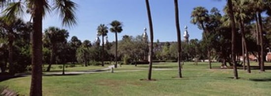 Trees in a campus Plant Park University Of Tampa Tampa Hillsborough County Florida USA Canvas Art - Panoramic Images (36 x 13)