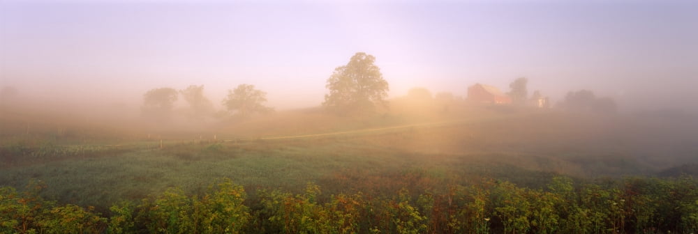 Trees in a farm Iowa County Wisconsin USA Canvas Art - Panoramic Images (12 x 36)