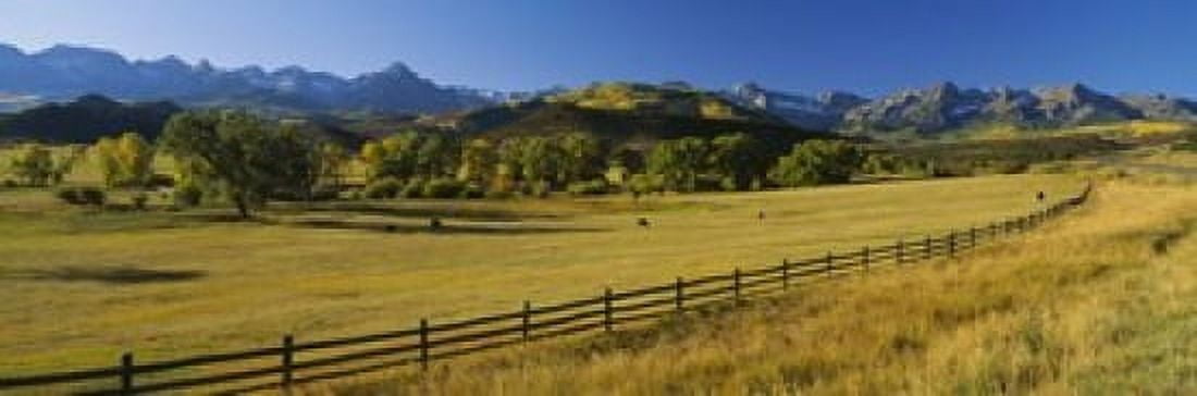 Trees in a field Colorado USA Canvas Art - Panoramic Images (18 x 6)