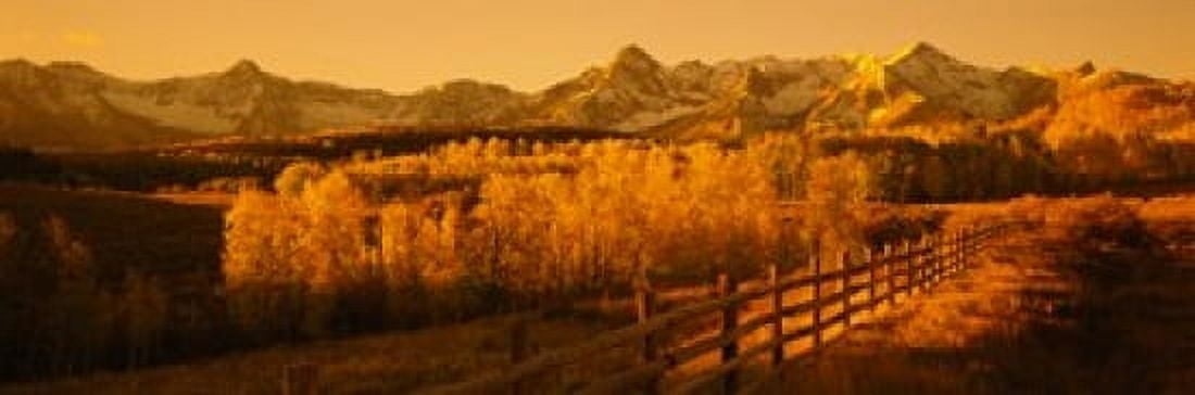 Trees in a field near a wooden fence Dallas Divide San Juan Mountains Colorado USA Canvas Art - Panoramic Images (18 x 6)