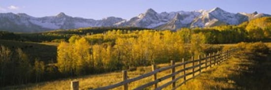 Trees in a field near a wooden fence Dallas Divide San Juan Mountains Colorado USA Canvas Art - Panoramic Images (36 x 12)