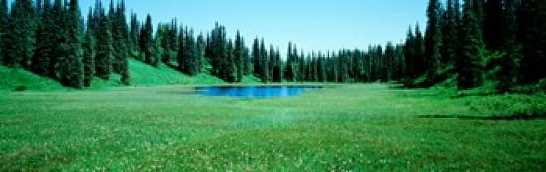 Trees in a forest Lakes Alaska USA Canvas Art - Panoramic Images (18 x 6)