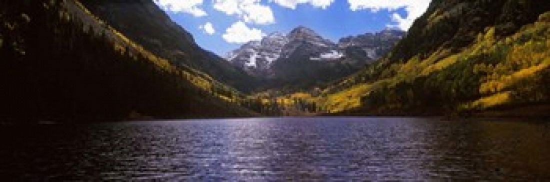 Trees in a forest Snowmass Wilderness Area Maroon Bells Colorado USA Canvas Art - Panoramic Images (18 x 6)