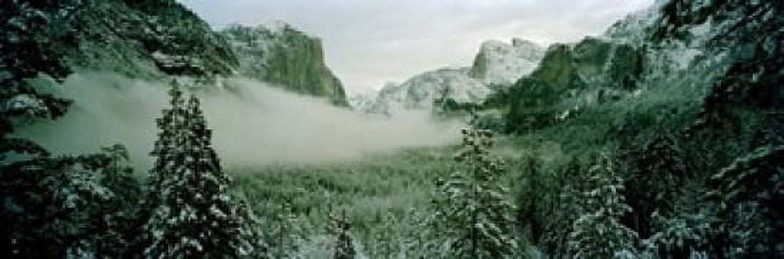 Trees in a forest Yosemite National Park Mariposa County California USA Canvas Art - Panoramic Images (18 x 6)