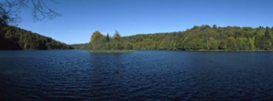 Trees in a forest at the lakeside Plitvice Lake Plitvice Lakes National Park Croatia Canvas Art - Panoramic Images (36 x 13)
