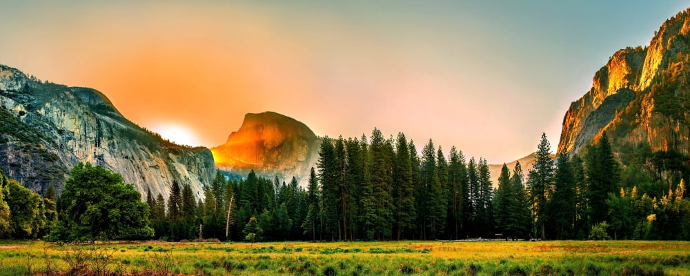Trees in a forest with mountain range in the background Yosemite National Park California USA Canvas Art - Panoramic Images (12 x 30)