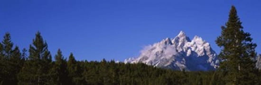 Trees in a forest with snow covered mountains in the background Grand Teton National Park Wyoming USA Canvas Art - Panoramic Images (18 x 6)
