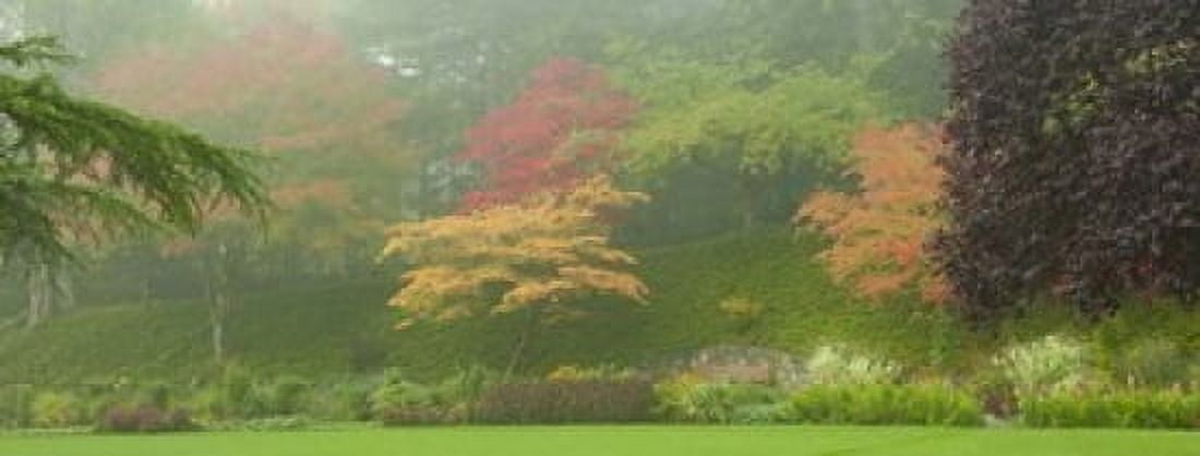 Trees in a garden Butchart Gardens Victoria Vancouver Island British Columbia Canada Canvas Art - Panoramic Images (15 x 6)
