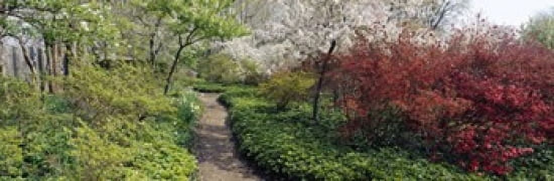 Trees in a garden Garden of Eden Ladew Topiary Gardens Monkton Baltimore County Maryland USA Canvas Art - Panoramic Images (18 x 6)