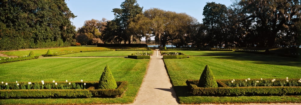 Trees in a garden Middleton Place Charleston South Carolina USA Canvas Art - Panoramic Images (12 x 36)