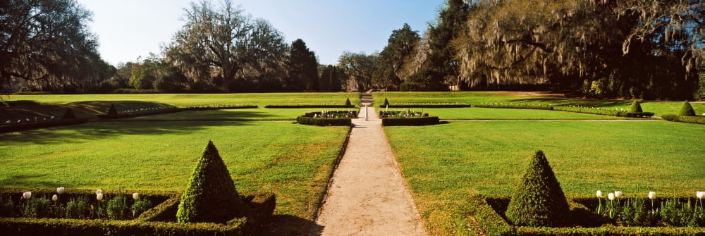 Trees in a garden Middleton Place Charleston South Carolina USA Canvas Art - Panoramic Images (36 x 12)