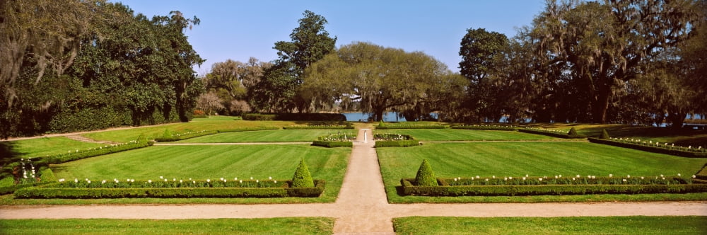Trees in a garden Middleton Place Charleston South Carolina USA Canvas Art - Panoramic Images (36 x 12)