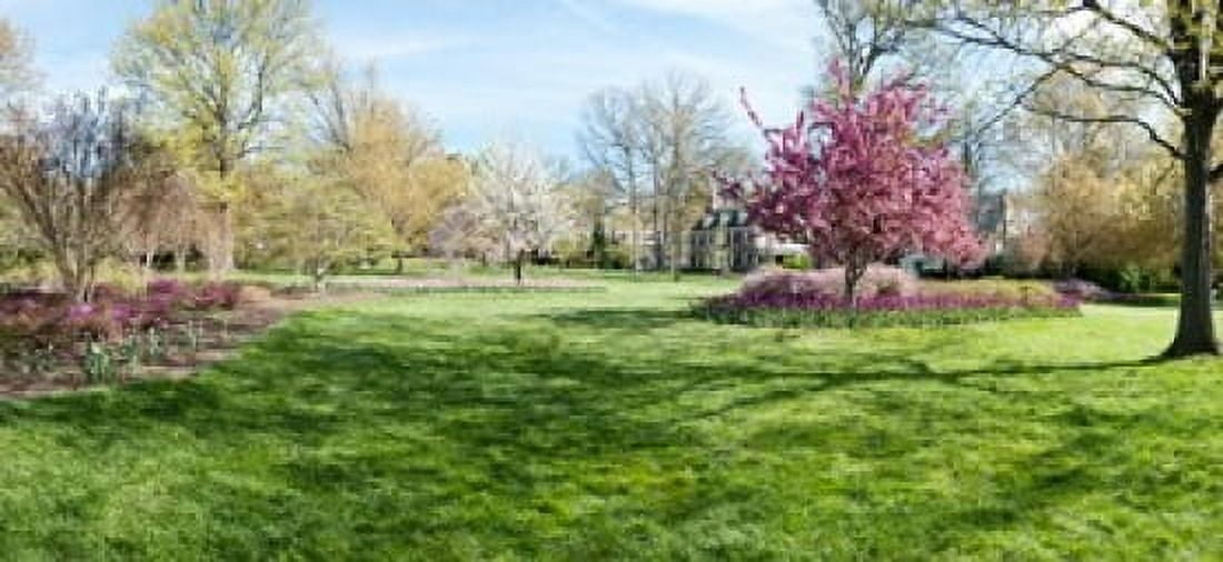 Trees in a garden Sherwood Gardens Baltimore Maryland USA Canvas Art - Panoramic Images (24 x 12)