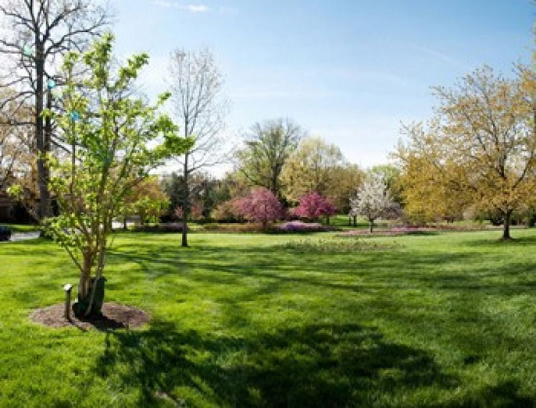 Trees in a garden Sherwood Gardens Baltimore Maryland USA Canvas Art - Panoramic Images (36 x 28)