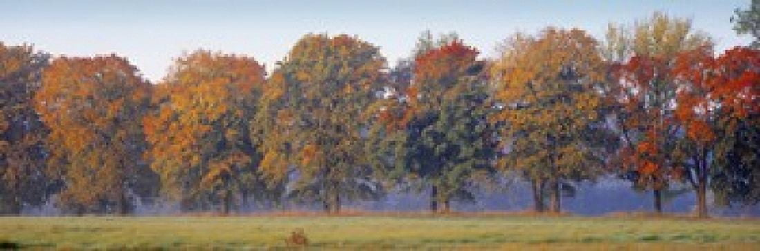 Trees in a garden South Bohemia Czech Republic Canvas Art - Panoramic Images (18 x 6)