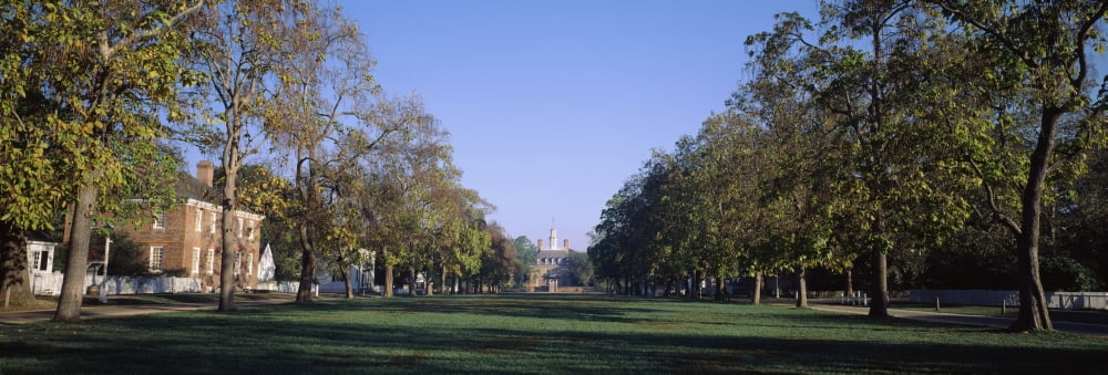 Trees in a garden of a palace Governors Palace Williamsburg Virginia USA Canvas Art - Panoramic Images (6 x 18)