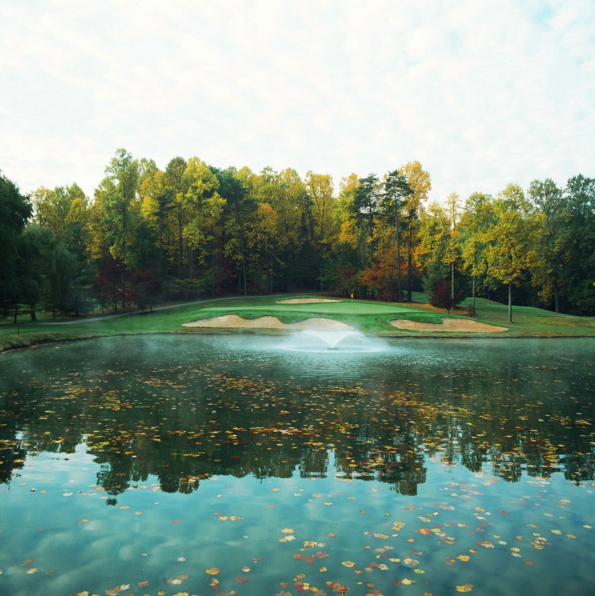 Trees in a golf course Congressional Country Club 11th Gold Nine Potomac Maryland USA Canvas Art - Panoramic Images (24 x 24)