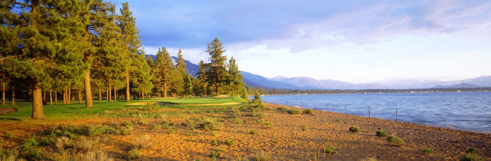 Trees in a golf course Edgewood Tahoe Golf Course Stateline Nevada USA Canvas Art - Panoramic Images (36 x 12)