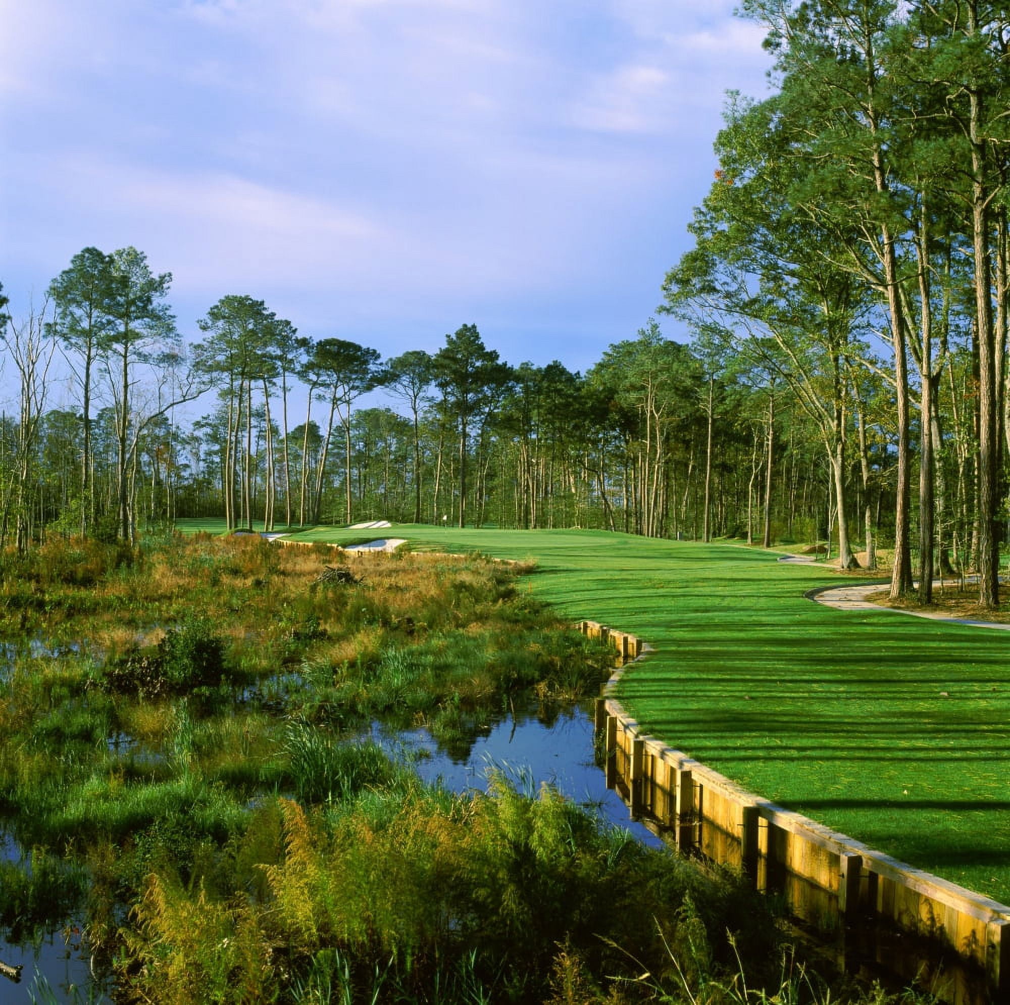 Trees in a golf course Kilmarlic Golf Club Powells Point Currituck County North Carolina USA Canvas Art - Panoramic Images (24 x 24)