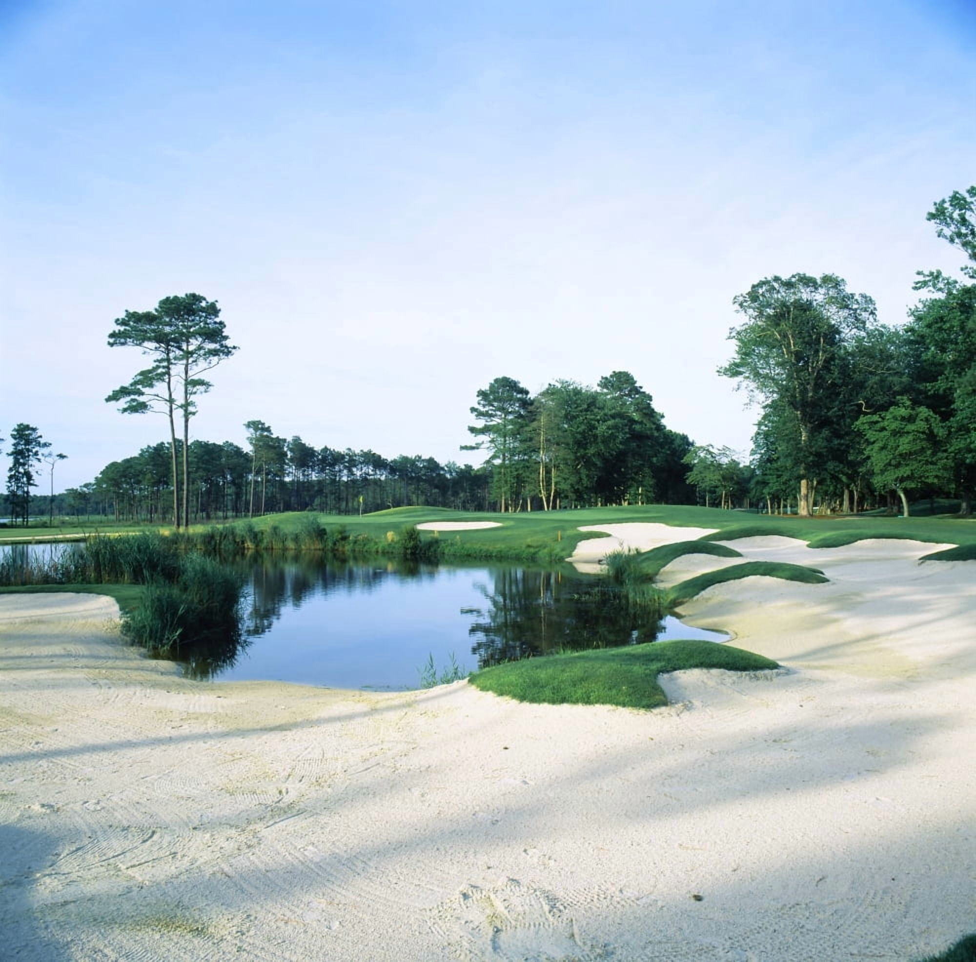 Trees in a golf course Ocean City Golf and Yacht Club Berlin Worcester County Maryland USA Canvas Art - Panoramic Images (24 x 24)