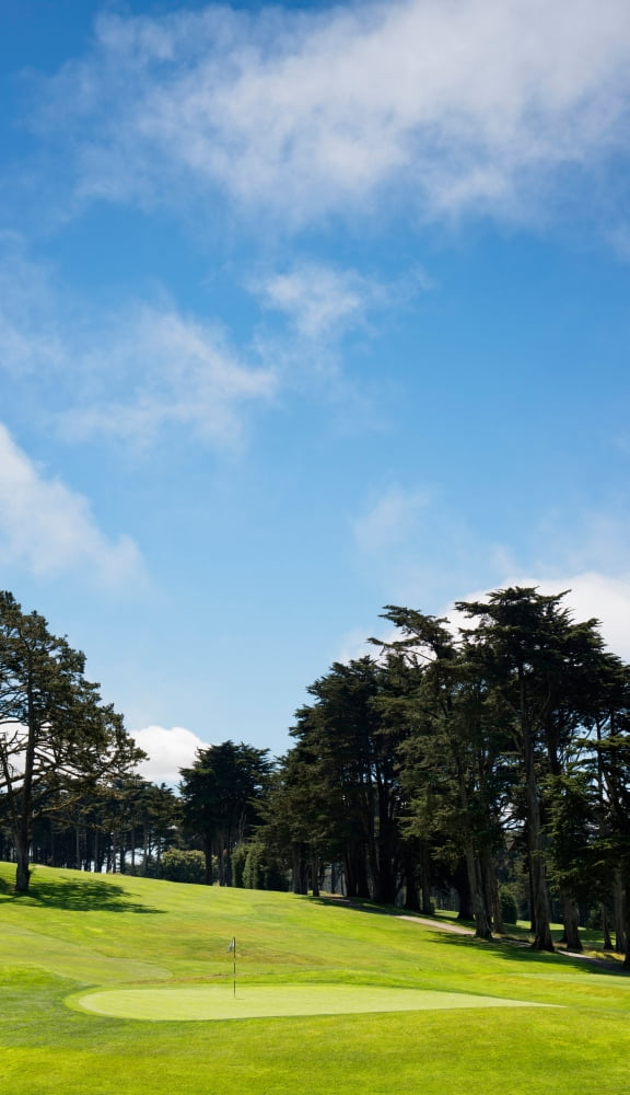 Trees in a golf course Presidio Golf Course San Francisco California USA Canvas Art - Panoramic Images (21 x 12)